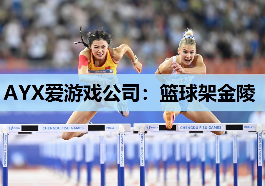 AYX爱游戏公司：篮球架金陵