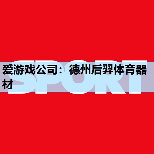 爱游戏公司：德州后羿体育器材