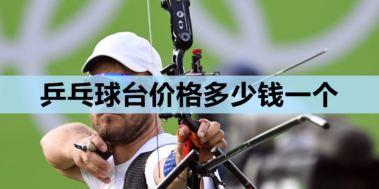 乒乓球台价格多少钱一个 乒乓球台价格多少钱一个