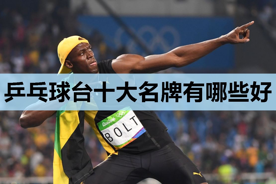 乒乓球台十大名牌有哪些好 乒乓球台十大名牌有哪些好