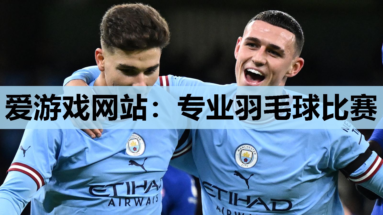 专业羽毛球比赛 专业羽毛球比赛