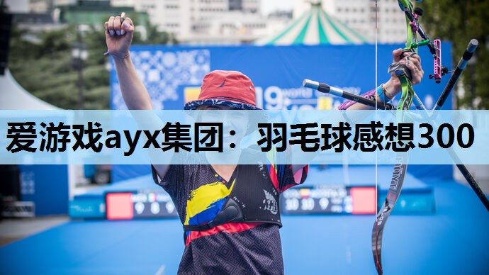 羽毛球感想300 羽毛球感想300