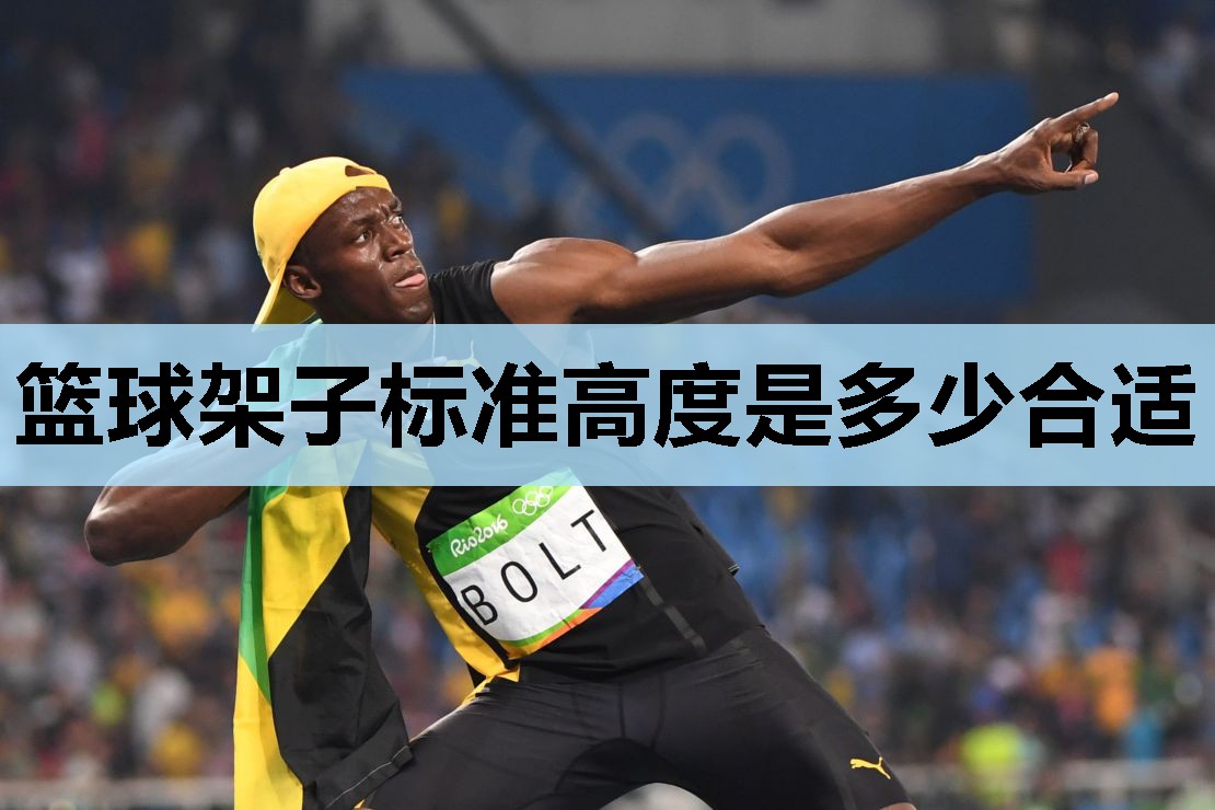 篮球架子标准高度是多少合适 篮球架子标准高度是多少合适