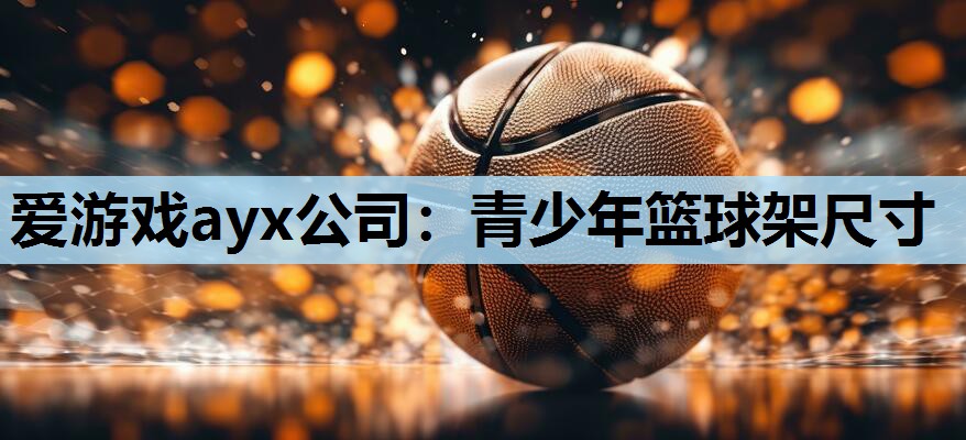 青少年篮球架尺寸 青少年篮球架尺寸