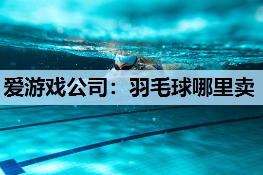 羽毛球哪里卖 羽毛球哪里卖