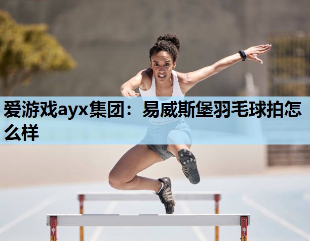 易威斯堡羽毛球拍怎么样 易威斯堡羽毛球拍怎么样