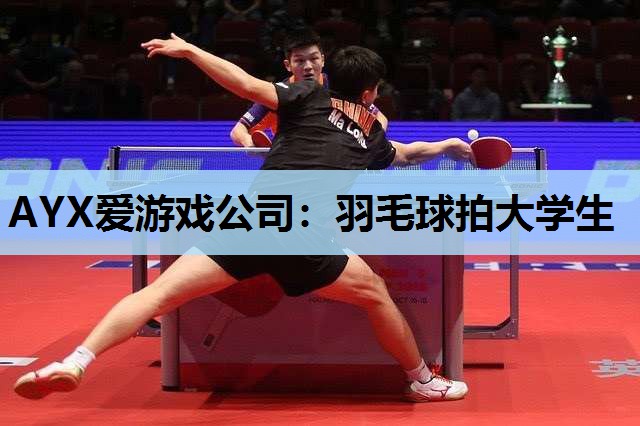 羽毛球拍大学生 羽毛球拍大学生