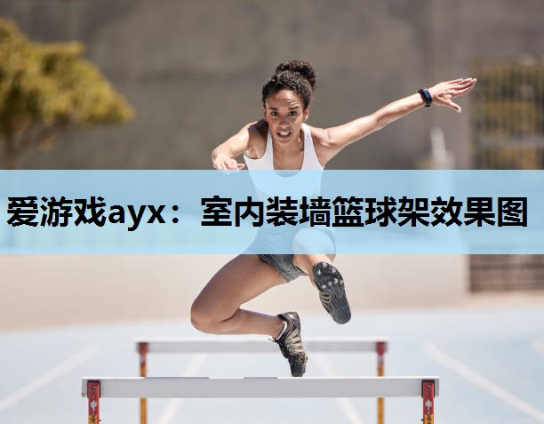 室内装墙篮球架效果图 室内装墙篮球架效果图