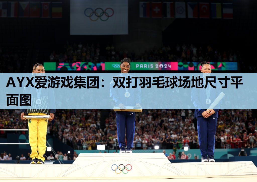 双打羽毛球场地尺寸平面图 双打羽毛球场地尺寸平面图