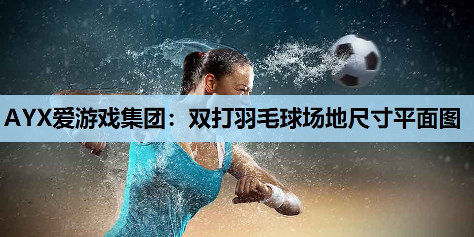双打羽毛球场地尺寸平面图 双打羽毛球场地尺寸平面图