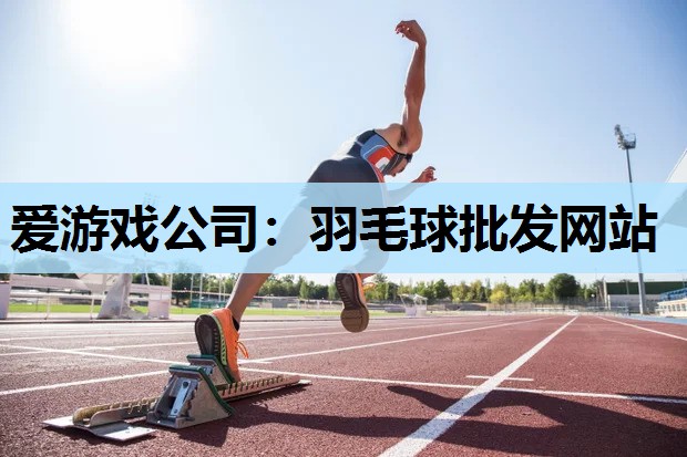 羽毛球批发网站 羽毛球批发网站