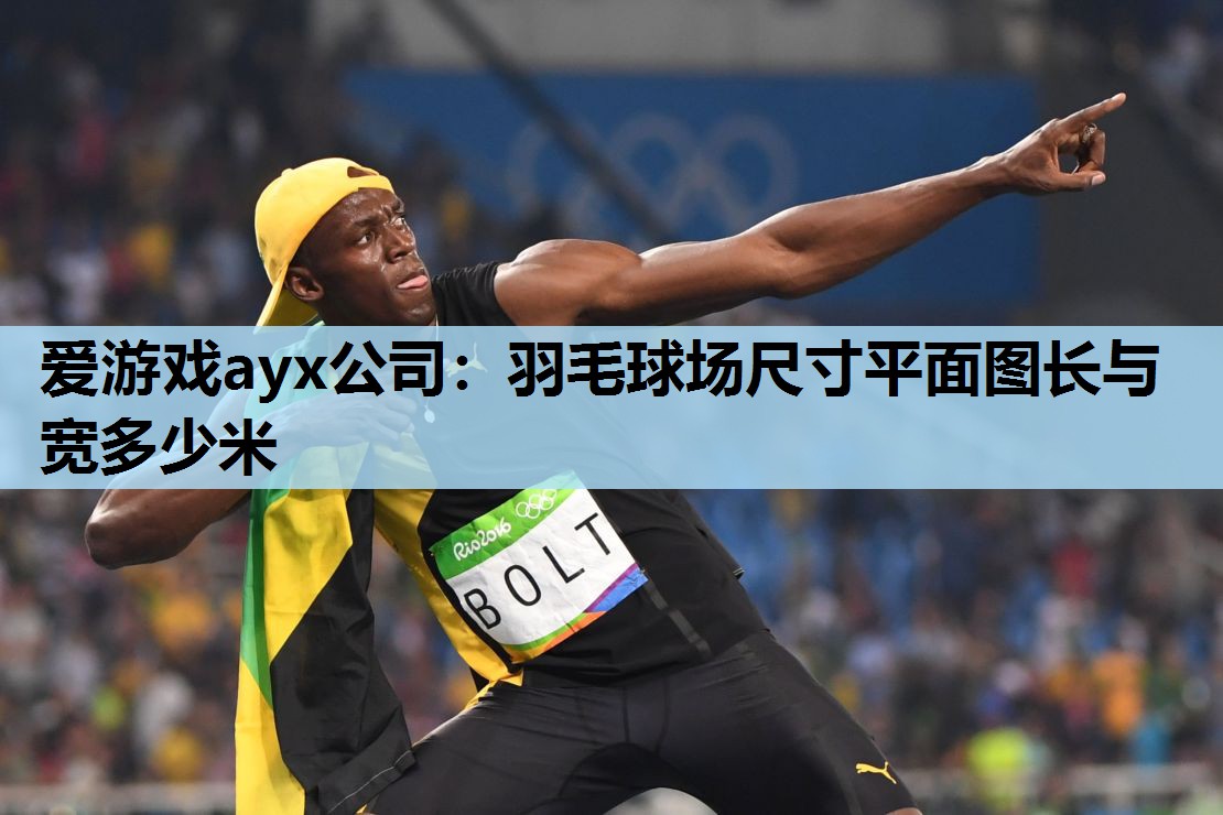 羽毛球场尺寸平面图长与宽多少米 羽毛球场尺寸平面图长与宽多少米
